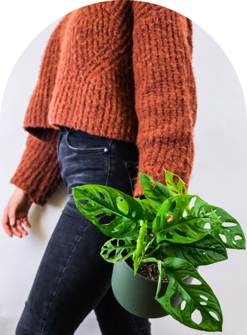 A woman holding a Plant.